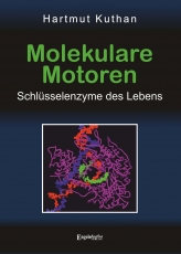 Molekulare Motoren